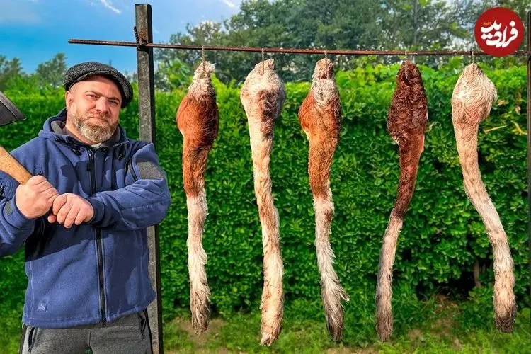 ببینید| غذای روستایی در آذربایجان؛ پخت یک غذای خاص با دُم گاو