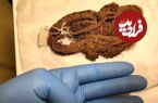 پیدا شدن صندل ۶,۰۰۰ ساله یک مومیایی در غاری دورافتاده در اسپانیا
