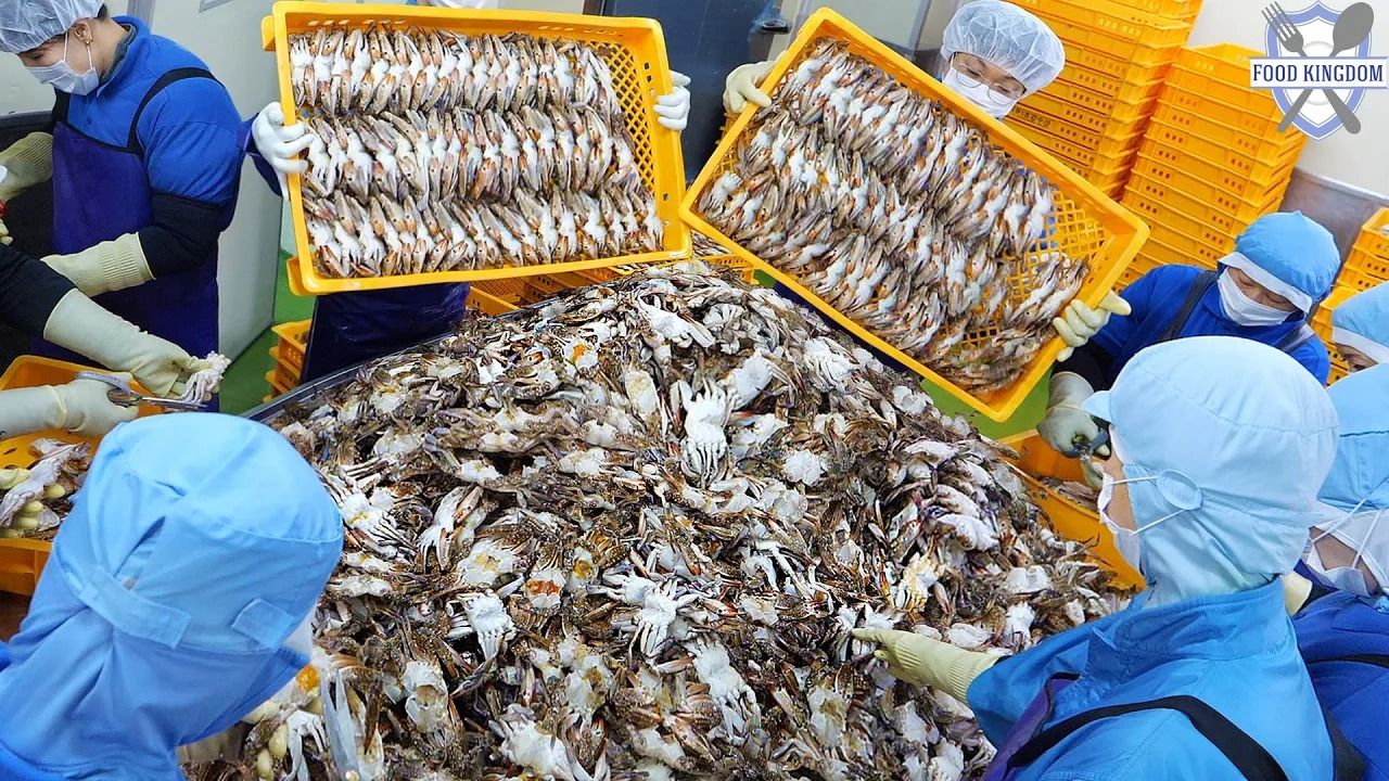 (ویدئو) فرآیند پردازش و فرآوری هزاران کیلو خرچنگ در یک کارخانه کره ای