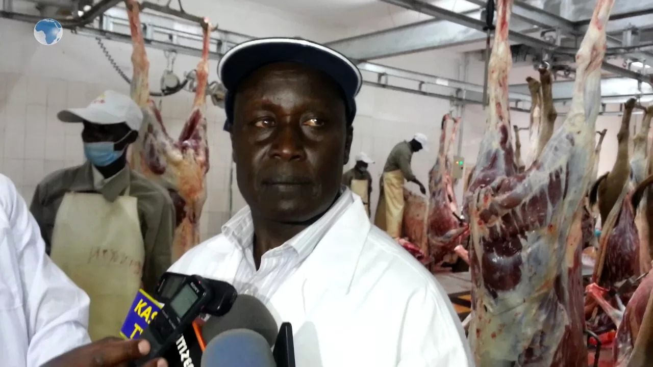 (ویدئو) کشتارگاه الاغ در کنیا؛ این مرکز روزی 150 الاغ برای چینی ها بسته بندی می کند!