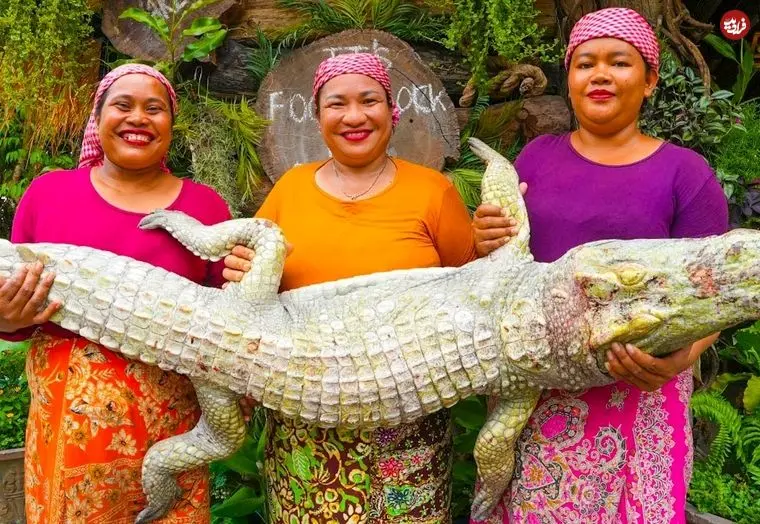 ببینید| غذای روستایی در سنگاپور؛ کباب کردن یک کروکودیل غول پیکر روی آتش