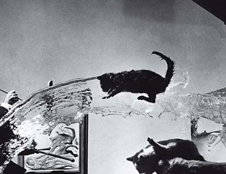 (تصاویر) صندلی‌های شناور و گربه‌های پرنده؛ این عکس یک انقلاب در عکاسی بود