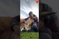 (ویدئو) وقتی حیوانات پس از ماه ها با مالکان شان به شکلی احساسی دیدار می کنند