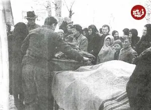 روزگاری تهران، انجمن شپش‌کشی داشت!