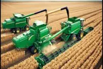 ببینید| نگاهی به مراحل برداشت و فرآوری میلیون ها تن گندم در آمریکا