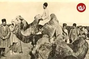 عکس| سفر زمان؛ تصویری از مراسم «شتر قربانی» در میدان توپخانه در اواخر دوران قاجار