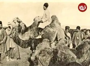 عکس| سفر زمان؛ تصویری از مراسم «شتر قربانی» در میدان توپخانه در اواخر دوران قاجار