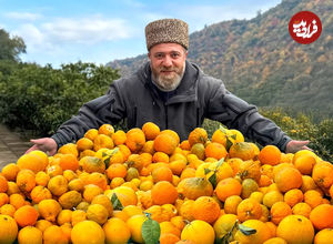 (ویدئو) نحوه پخت یک غذای اوکراینی با «ماهی» به شیوه یک آشپز مشهور