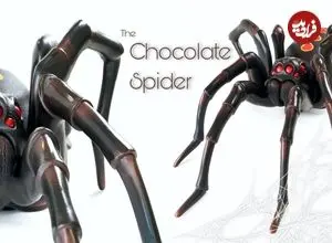 ببینید| مراحل دیدنی ساخت یک عنکبوت زیبا با شکلات خالص
