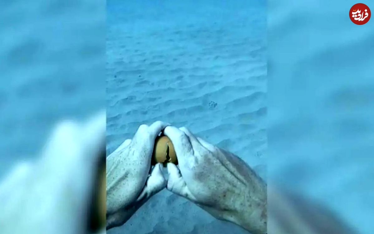 (ویدئو) اگر یک تخم مرغ را در عمق دریا بشکنیم چه رخ می دهد؟