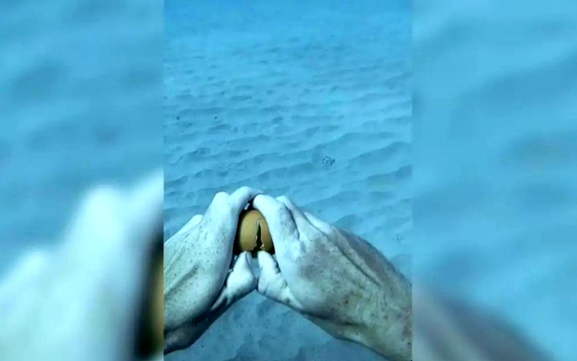 (ویدئو) اگر یک تخم مرغ را در عمق دریا بشکنیم چه رخ می دهد؟