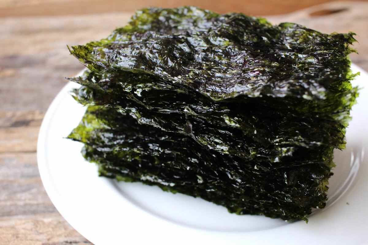(ویدئو) جلبک دریایی؛ گیاهی مفید که از سوپ تا کود استفاده می‌شود