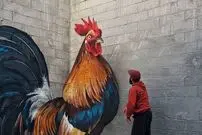 تصاویر؛ هنر خیابانی؛ 10 شاهکار هنری خلاقانه از سراسر دنیا