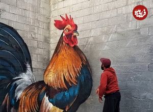 تصاویر؛ هنر خیابانی؛ 10 شاهکار هنری خلاقانه از سراسر دنیا