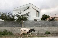 تصاویر؛ دوزیست، منفک با متریال ارزان؛ ویلای آخر هفته چشم معماران را گرفت