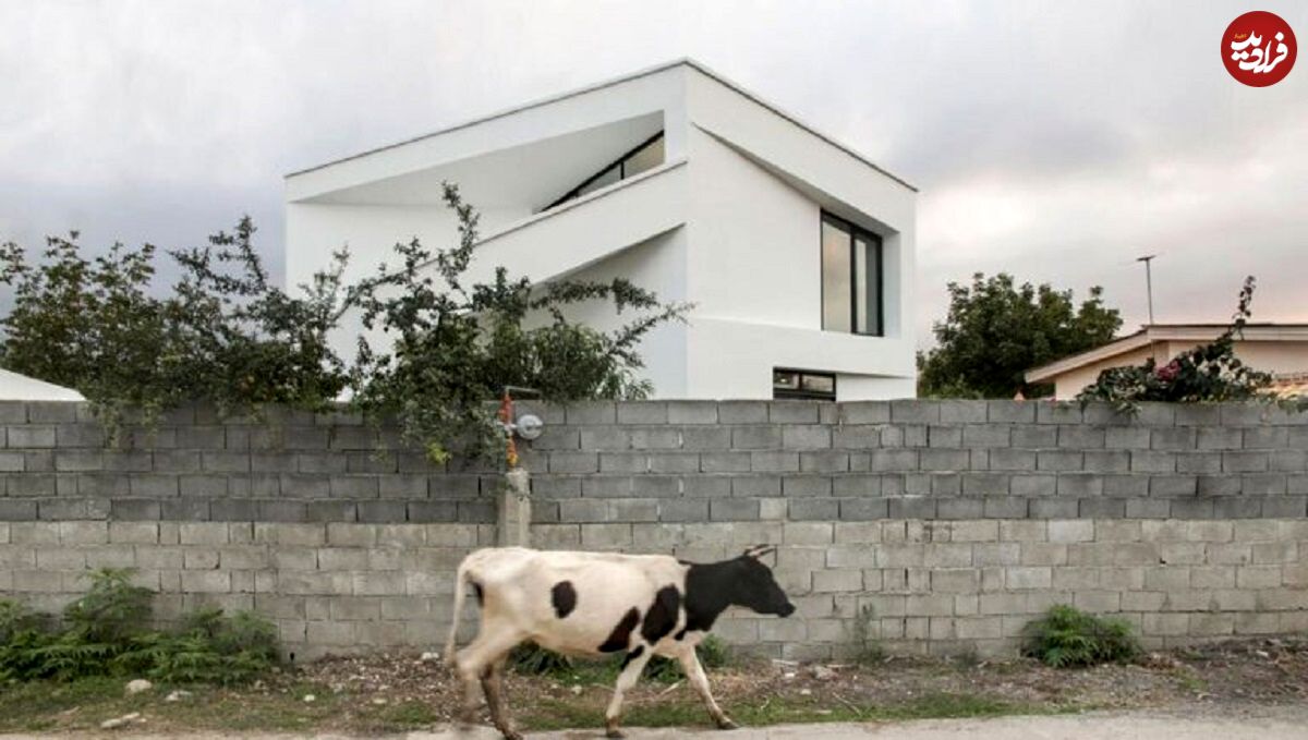 تصاویر؛ دوزیست، منفک با متریال ارزان؛ ویلای آخر هفته چشم معماران را گرفت