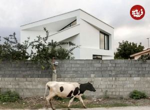 تصاویر؛ دوزیست، منفک با متریال ارزان؛ ویلای آخر هفته چشم معماران را گرفت