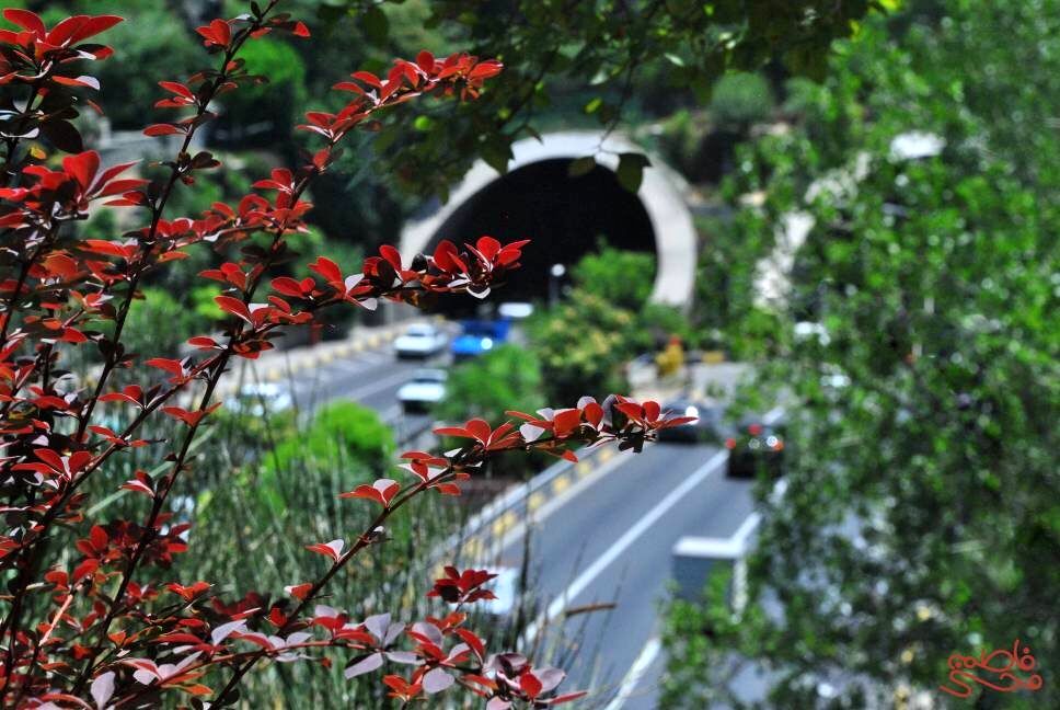 (تصاویر) این بام تونل در لیست زیباترین بام‌های تهران جا گرفت