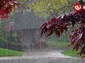 تهرانی ها در این دو روز منتظر بارش‌های سیل آسا باشند؛ بارش برف و باران در ۲۴ استان