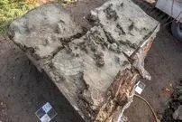 کشف قبر 5 هزارسالۀ یک «سگ» که همراه با «خنجر» دفن شده است