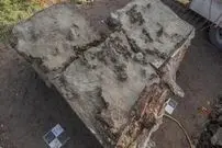 کشف قبر 5 هزارسالۀ یک «سگ» که همراه با «خنجر» دفن شده است