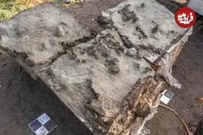 کشف قبر 5 هزارسالۀ یک «سگ» که همراه با «خنجر» دفن شده است