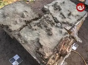 کشف قبر 5 هزارسالۀ یک «سگ» که همراه با «خنجر» دفن شده است