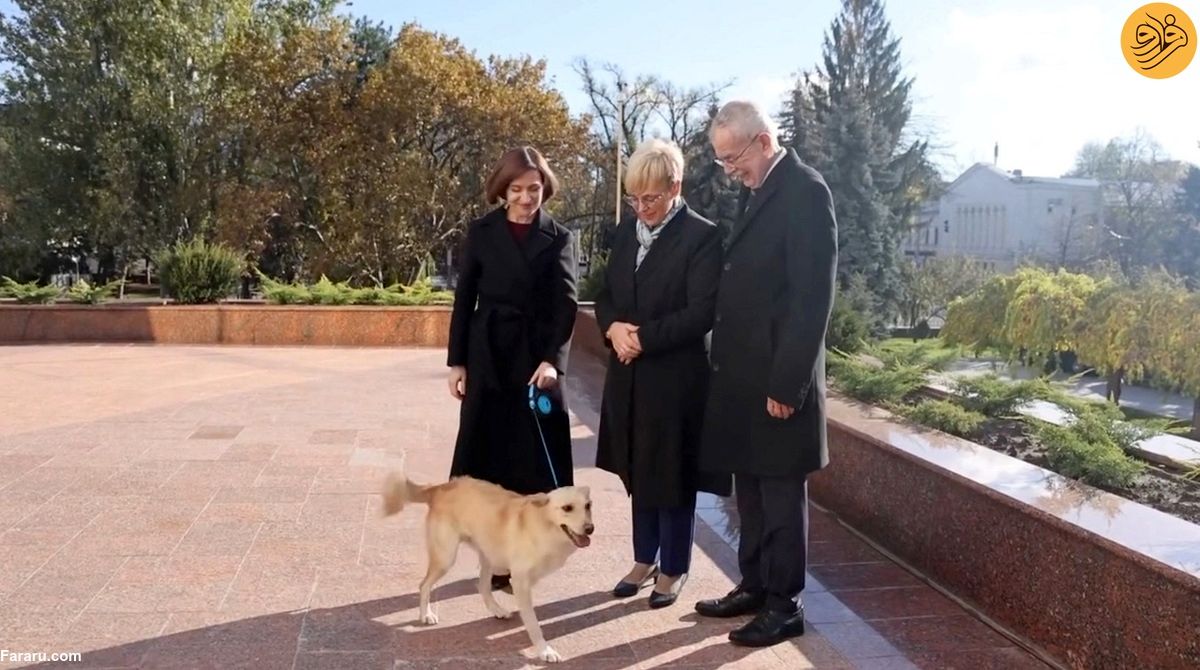 (ویدئو) سگ رئیس‌جمهور مولداوی دست همتای اتریشی را گاز گرفت