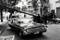 تصاویر؛ سفر به تهران قدیم؛ وقتی توفان تهران را تسخیر کرد!