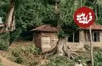 تصاویر| سفر به عصر قاجار؛ از «کلبه‌های جاده رشت» تا «بچه‌های خیابان باب همایون»