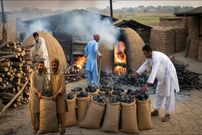 ببینید| فرآیند تولید سنتی زغال در روستایی در پاکستان