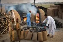 ببینید| فرآیند تولید سنتی زغال در روستایی در پاکستان