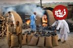 ببینید| فرآیند تولید سنتی زغال در روستایی در پاکستان