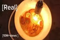 (ویدئو) نحوه درست کردن دستگاه جوجه کشی ارزان و ساده با لامپ و سطل پلاستیکی