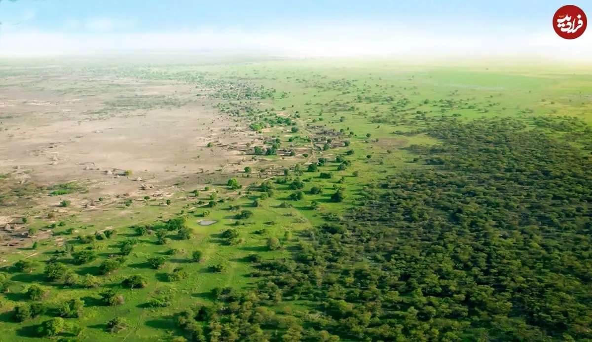 «جنگل‌کاری» عظیم چینی‌ها چگونه «چرخۀ آب» را تغییر داده است؟