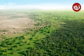 «جنگل‌کاری» عظیم چینی‌ها چگونه «چرخۀ آب» را تغییر داده است؟