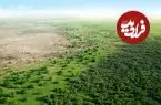 «جنگل‌کاری» عظیم چینی‌ها چگونه «چرخۀ آب» را تغییر داده است؟