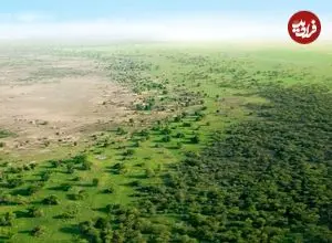 «جنگل‌کاری» عظیم چینی‌ها چگونه «چرخۀ آب» را تغییر داده است؟