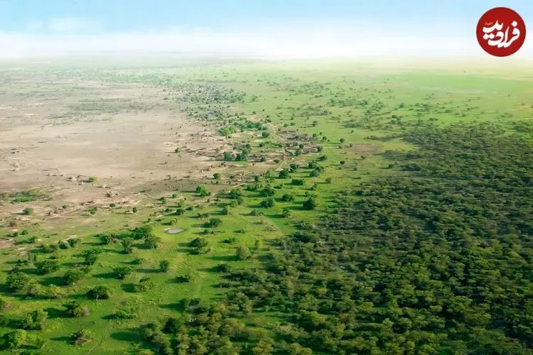 «جنگل‌کاری» عظیم چینی‌ها چگونه «چرخۀ آب» را تغییر داده است؟