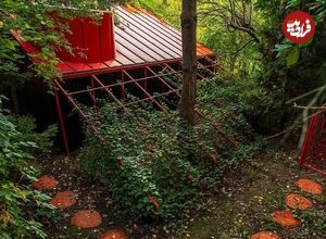 تصاویر؛ جادوی معماری؛ رنگ، چوب و فلز در قلب ورشو