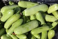 یک خوردنی کم‌کالری برای کاهش نفخ