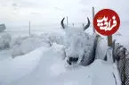 ببینید| بارش فلج کننده برف در بولیوی