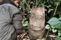 «گنج سفالی» در باغچۀ خانۀ مادربزرگ کشف شد