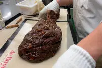 ( ویدئو) فرآیند دیدنی تولید آب‌نبات با دانه سویا به روش استاد ژاپنی