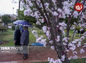 وضعیت بارش در هفته اول نوروز