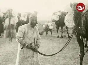 عکس| سفر زمان؛ عبور کاروان تنباکو از بیابان در دوران قاجار