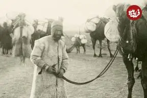 عکس| سفر زمان؛ عبور کاروان تنباکو از بیابان در دوران قاجار