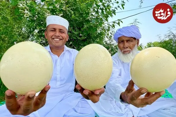 ببینید| غذای روستایی در پاکستان؛ پخت املت با تخم شترمرغ در طبیعت