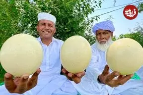 ببینید| غذای روستایی در پاکستان؛ پخت املت با تخم شترمرغ در طبیعت