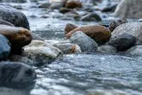 خطر از بین رفتن میکروب‌هایی که در «گِل» زندگی می‌کنند